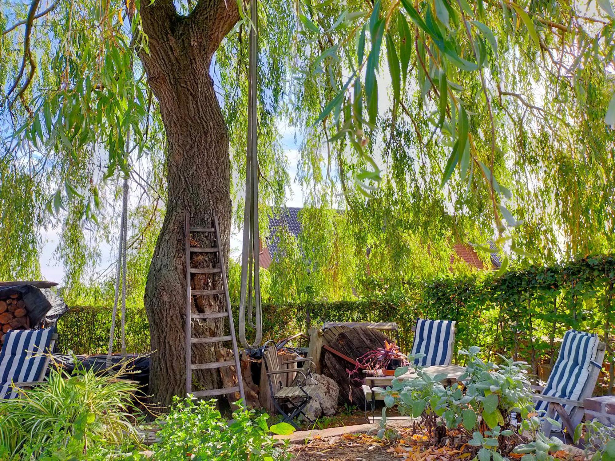 Aan De Molenberg Bed & Breakfast Broekhuizen  Eksteriør bilde